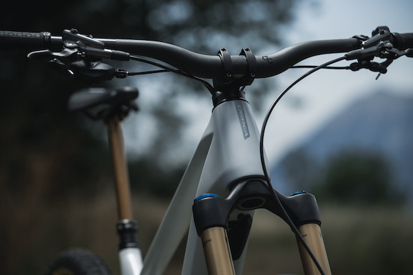 Versiegelte interne Kabel im Jahr 2023 Orbea Wild M-LTD