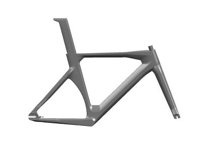 Time Trial Frameset