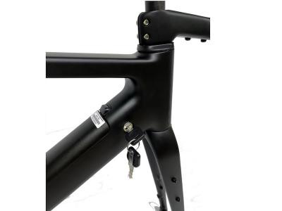 Bafang Motor E Bike Frame