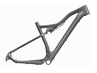 Mountain Bike Carbon Frame