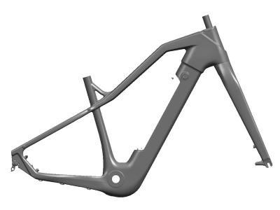 E Bike MTB Frameset