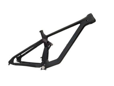 Mountain Bike Frame